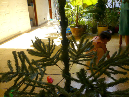 P1000386
