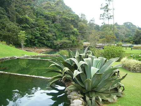 P1100323