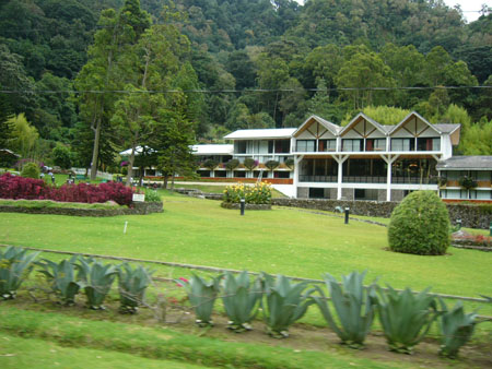 P1100335