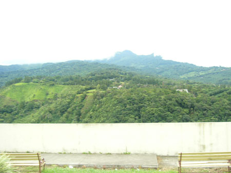 P1100366