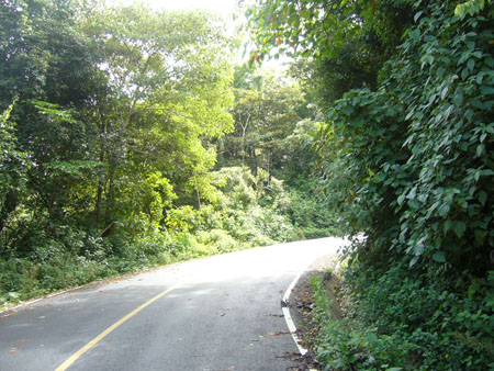 P1100426